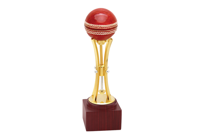 Cricket Sports Trophy